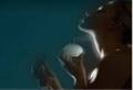 نصائح عند استخدامك العطور نصائح عند استخدامك العطور